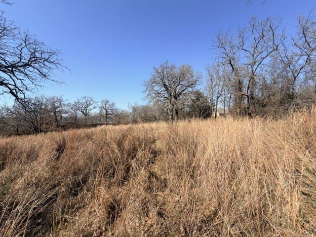 2 acres in Parker County - photo 7