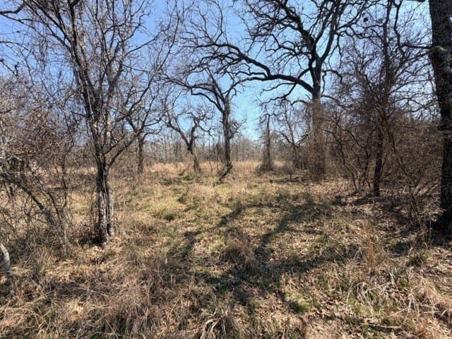 2 acres in Parker County - photo 9