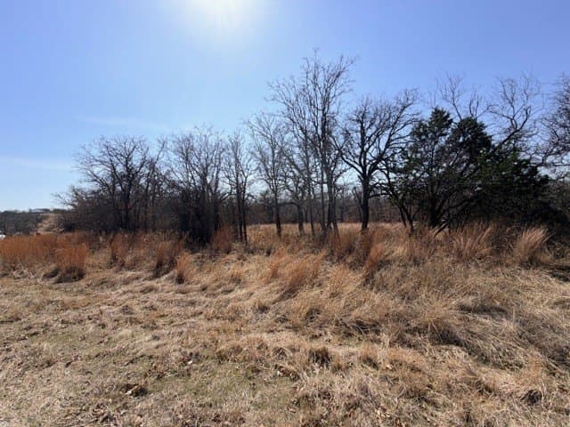 2 acres in Parker County - photo 12