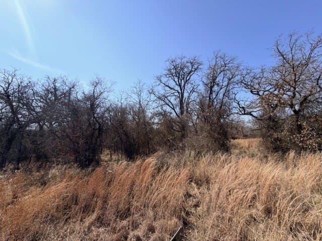 2 acres in Parker County - photo 6