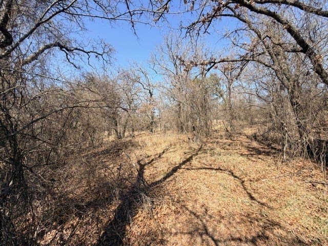 2 acres in Parker County - photo 10