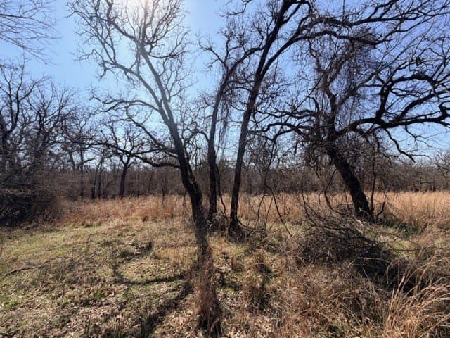2 acres in Parker County - photo 8