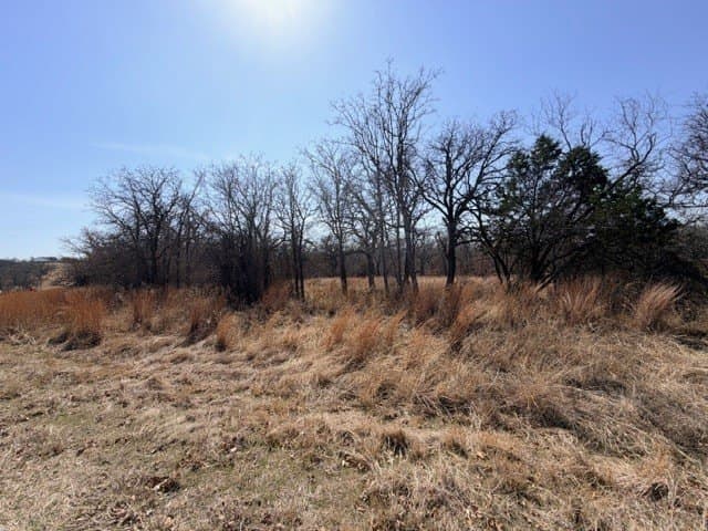 2 acres in Parker County - photo 13
