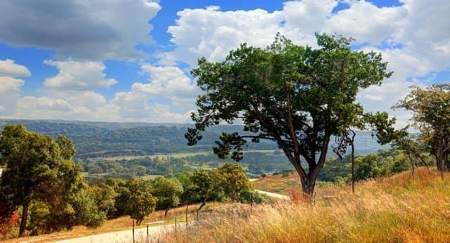 2.66 acres in Kerr County - photo 9