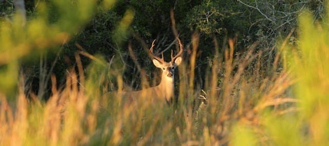 2.66 acres in Kerr County - photo 13