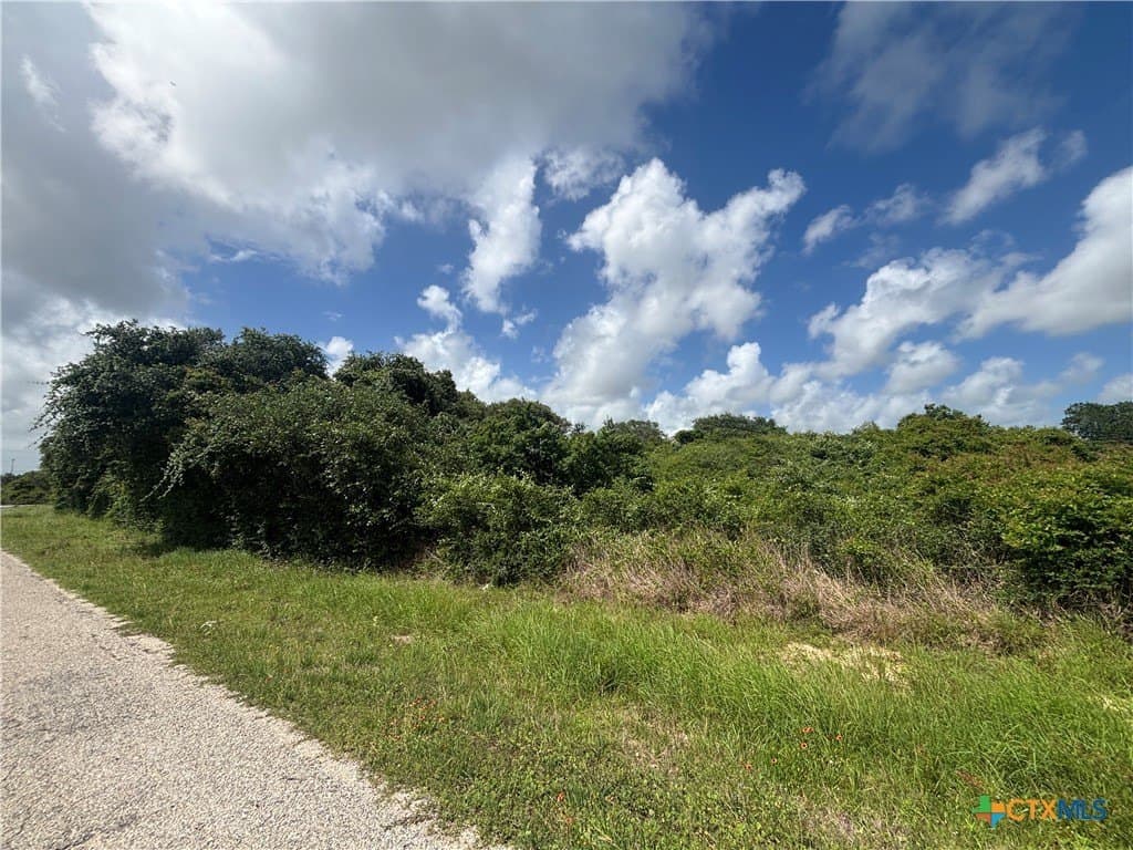 1.95 acres in Calhoun County - photo 10