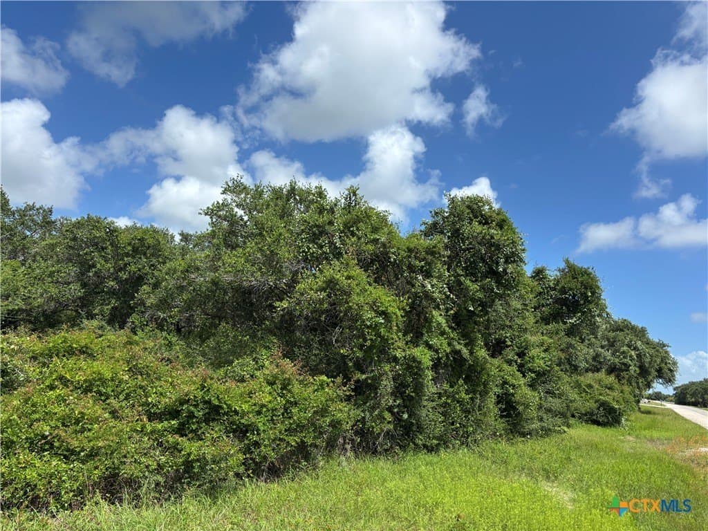1.95 acres in Calhoun County gallery image 3