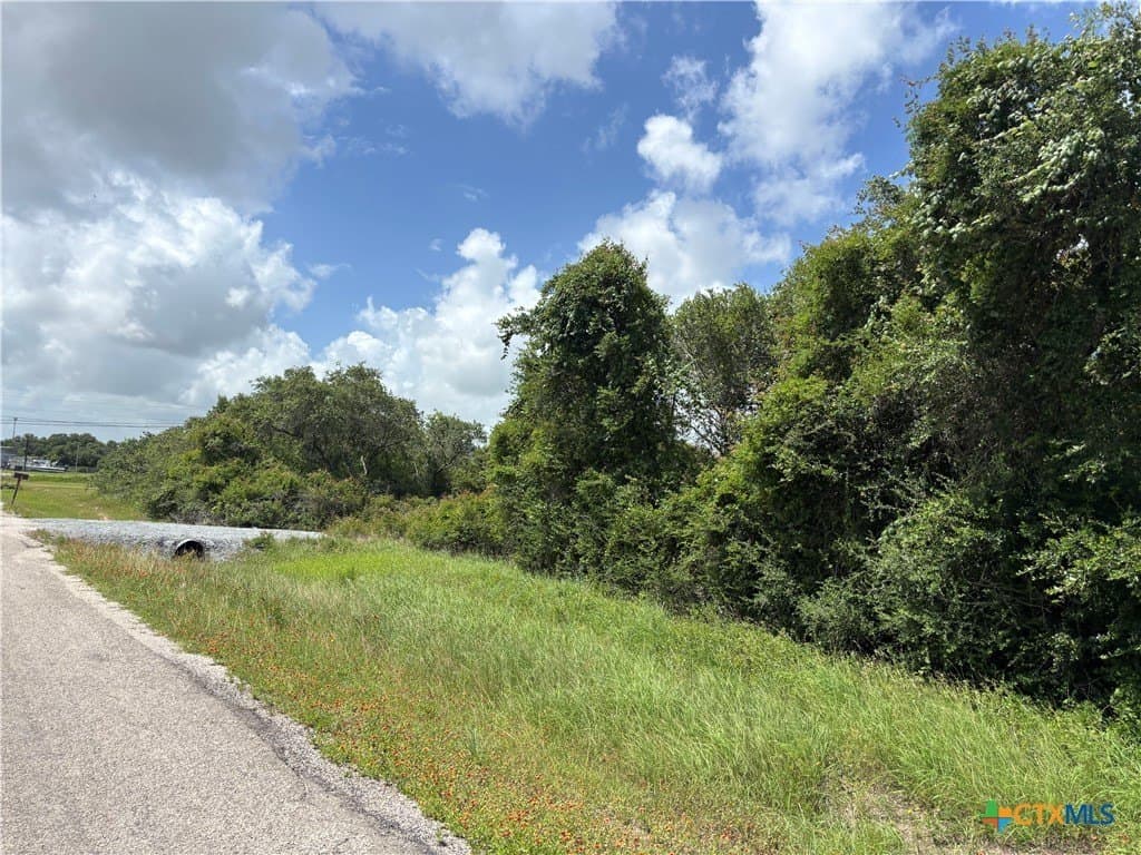 1.95 acres in Calhoun County - photo 11