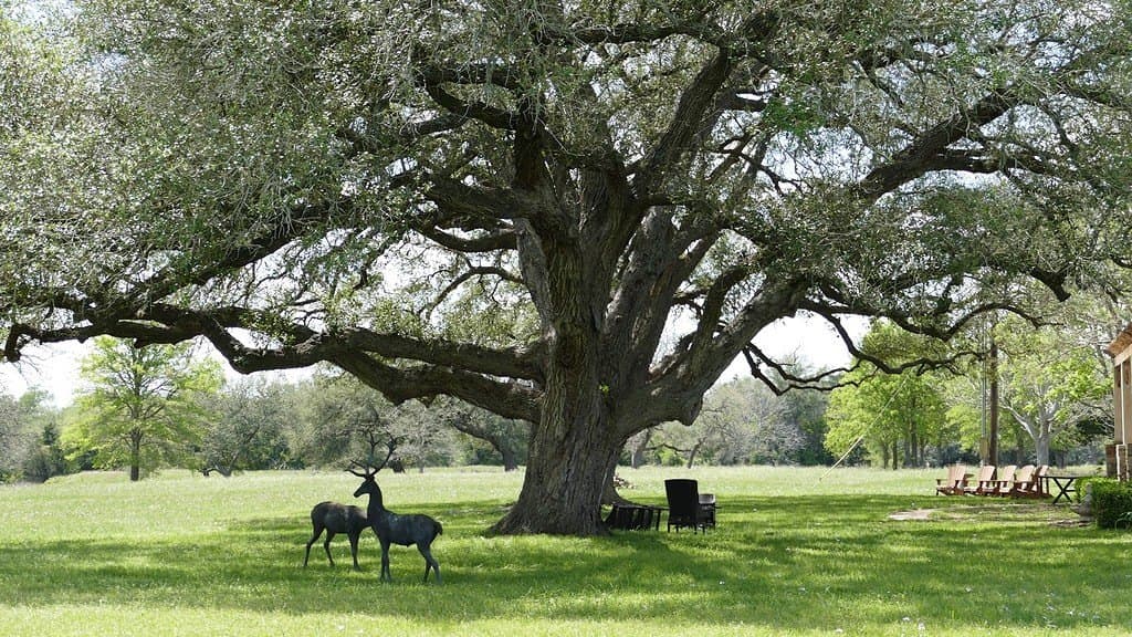 110.62 acres in Fayette County gallery image 2