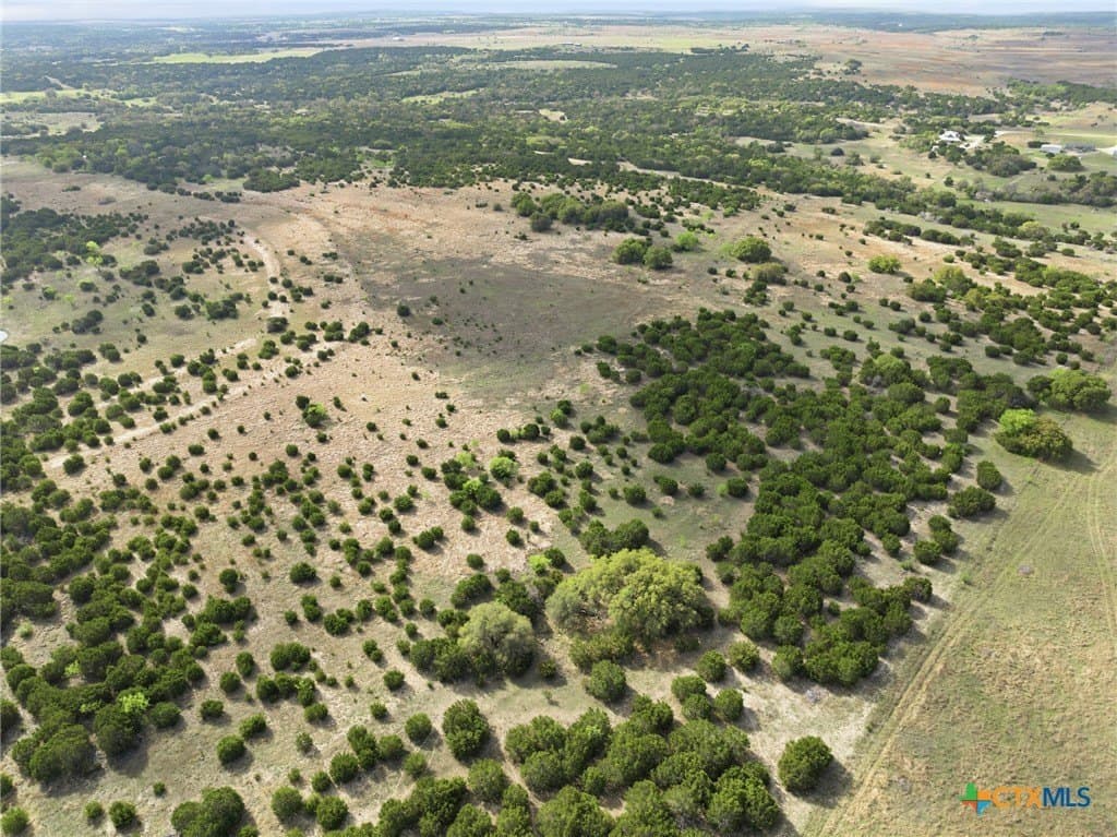 129.42 acres in Coryell County gallery image 3