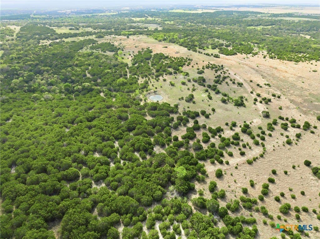 129.42 acres in Coryell County featured view