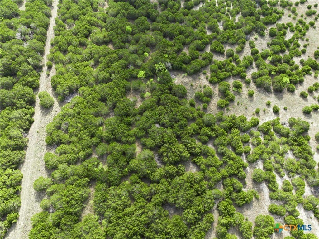 129.42 acres in Coryell County gallery image 4