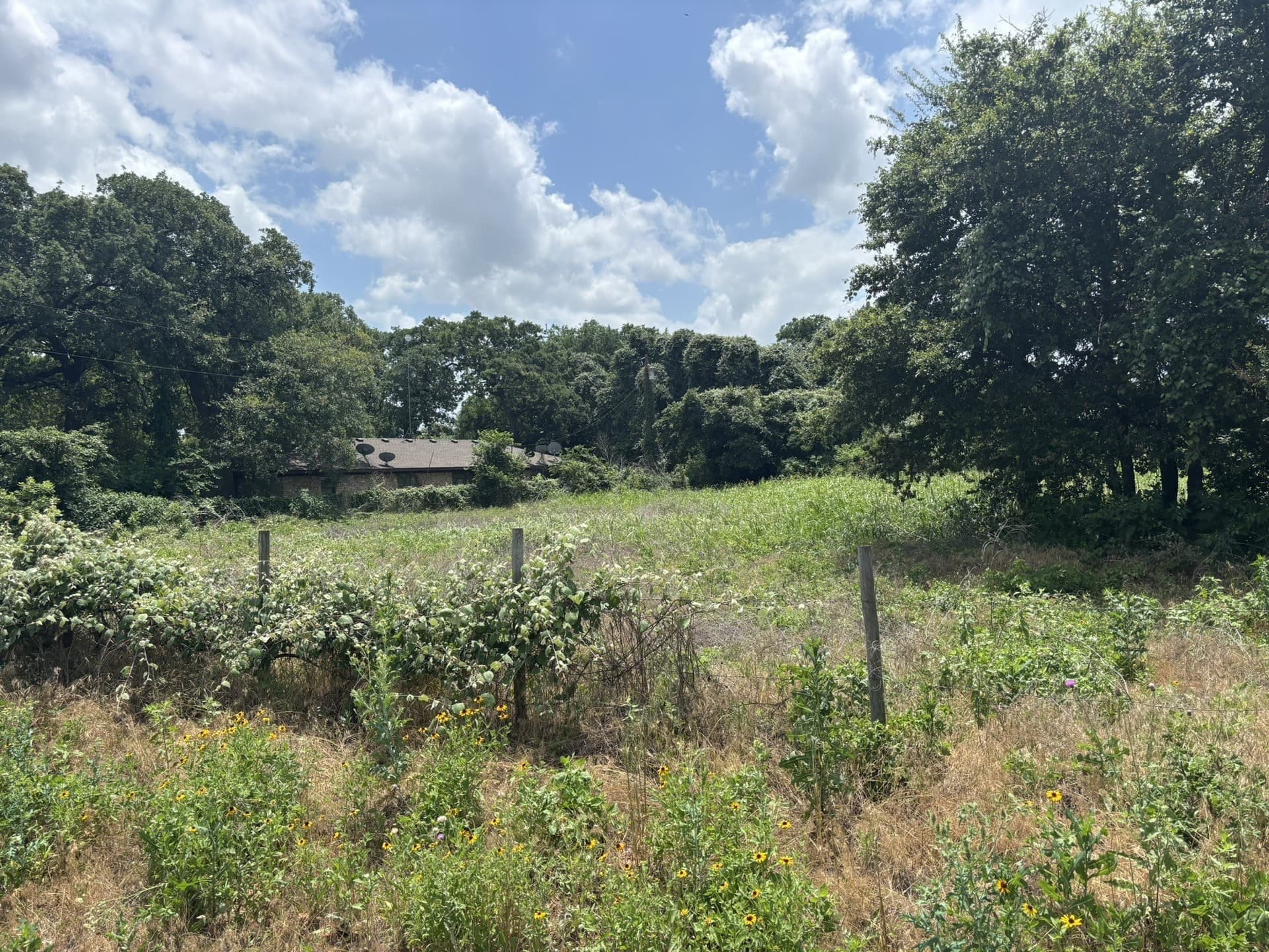 15.05 acres in McLennan County - photo 2