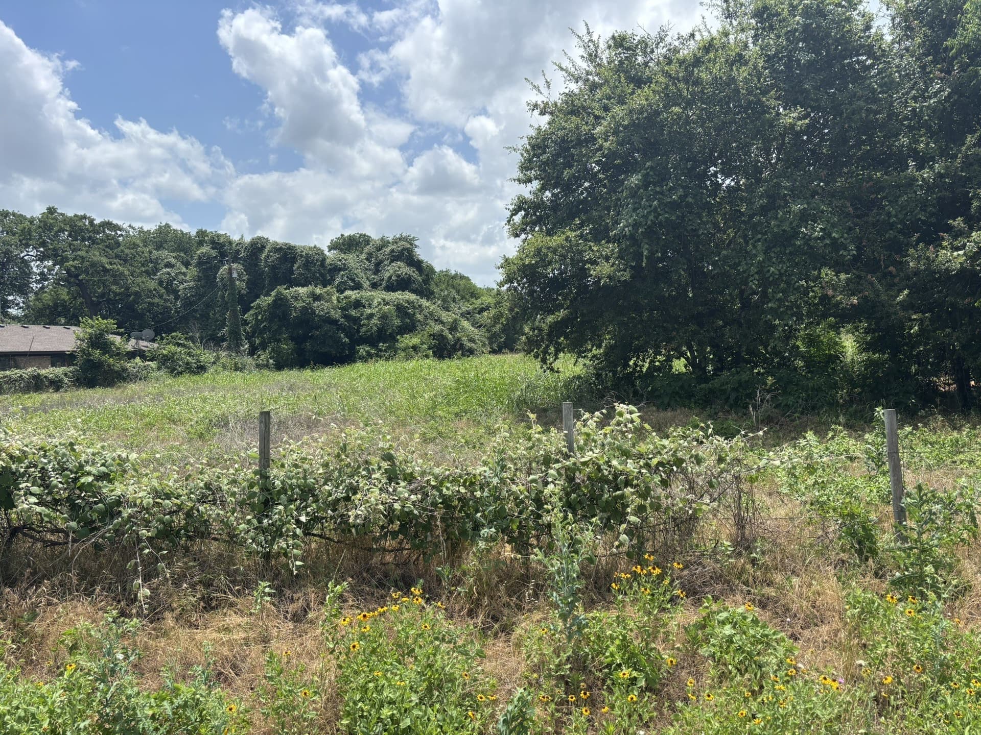 15.05 acres in McLennan County - photo 3