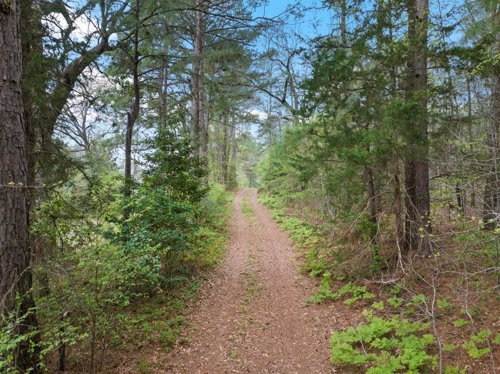 20 acres in Cass County featured view