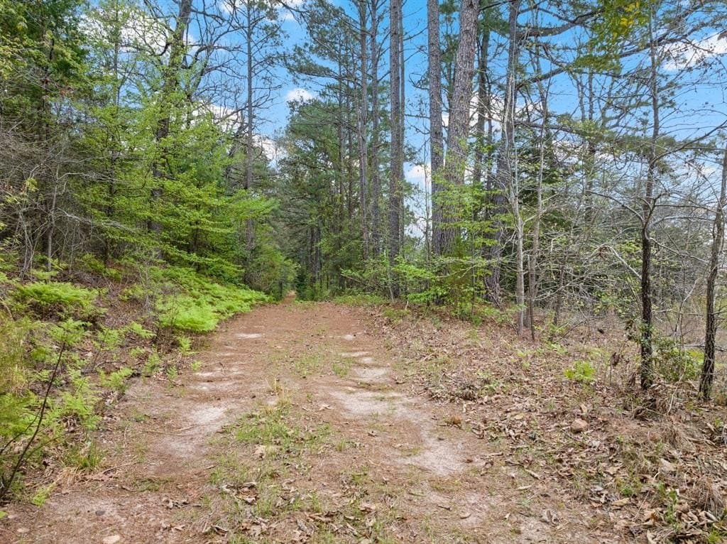 20 acres in Cass County gallery image 2