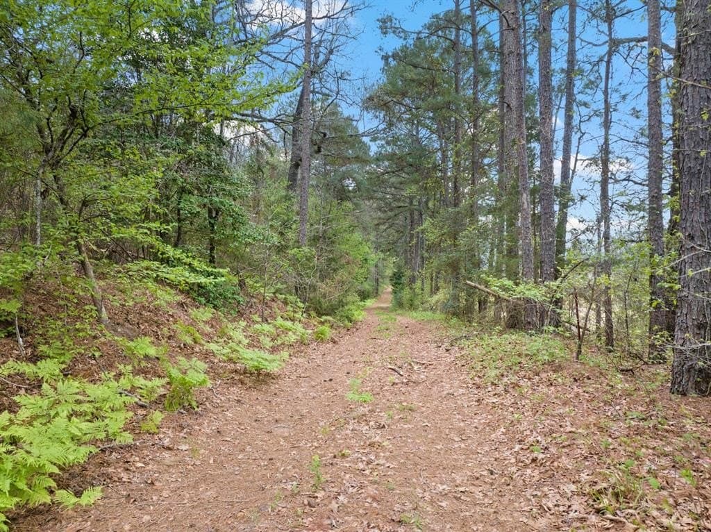 20 acres in Cass County gallery image 3