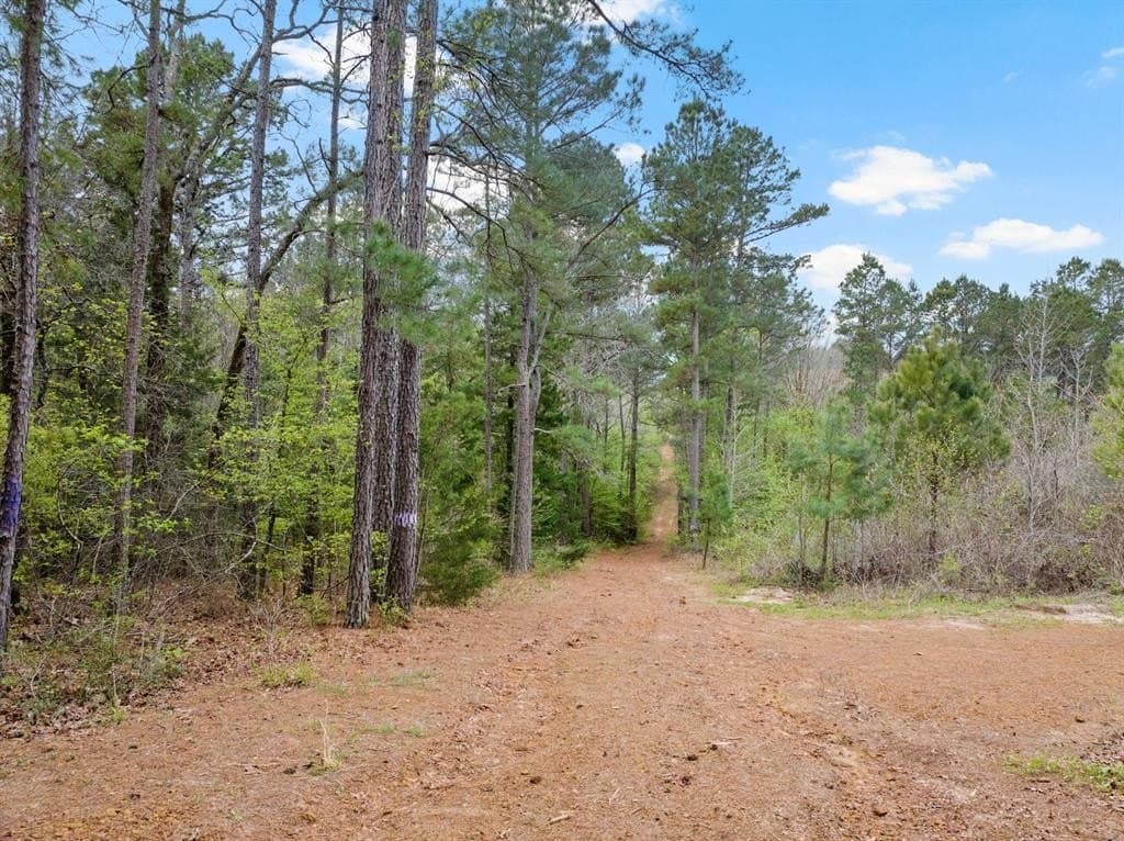 20 acres in Cass County gallery image 4