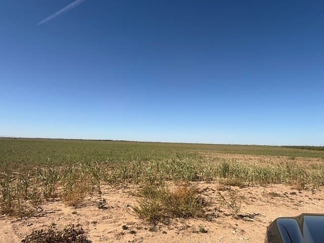 47 acres in Howard County - photo 20