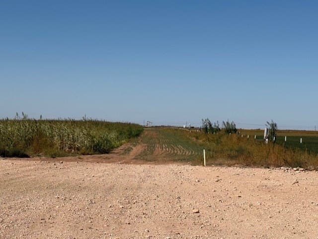 47 acres in Howard County - photo 22