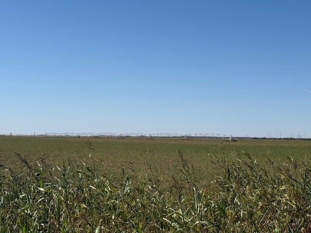 47 acres in Howard County - photo 16