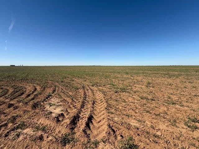 47 acres in Howard County - photo 26