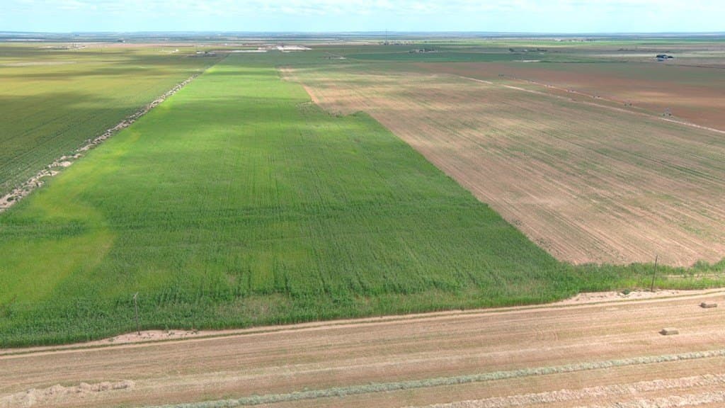47 acres in Howard County - photo 12