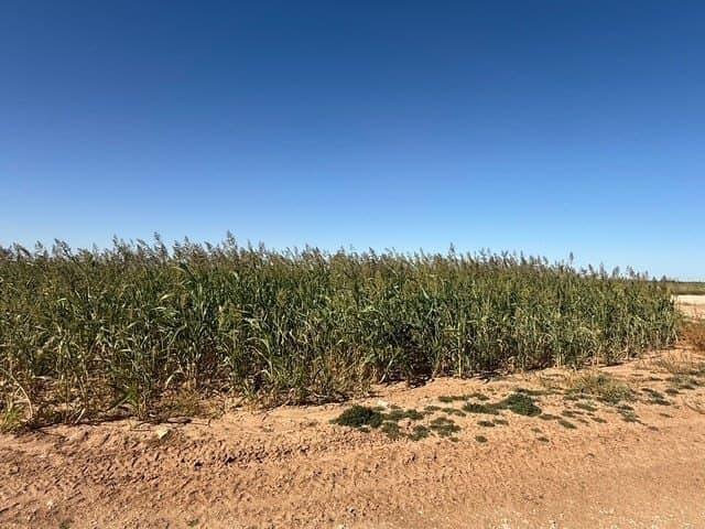 47 acres in Howard County - photo 17