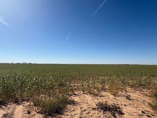 47 acres in Howard County - photo 18