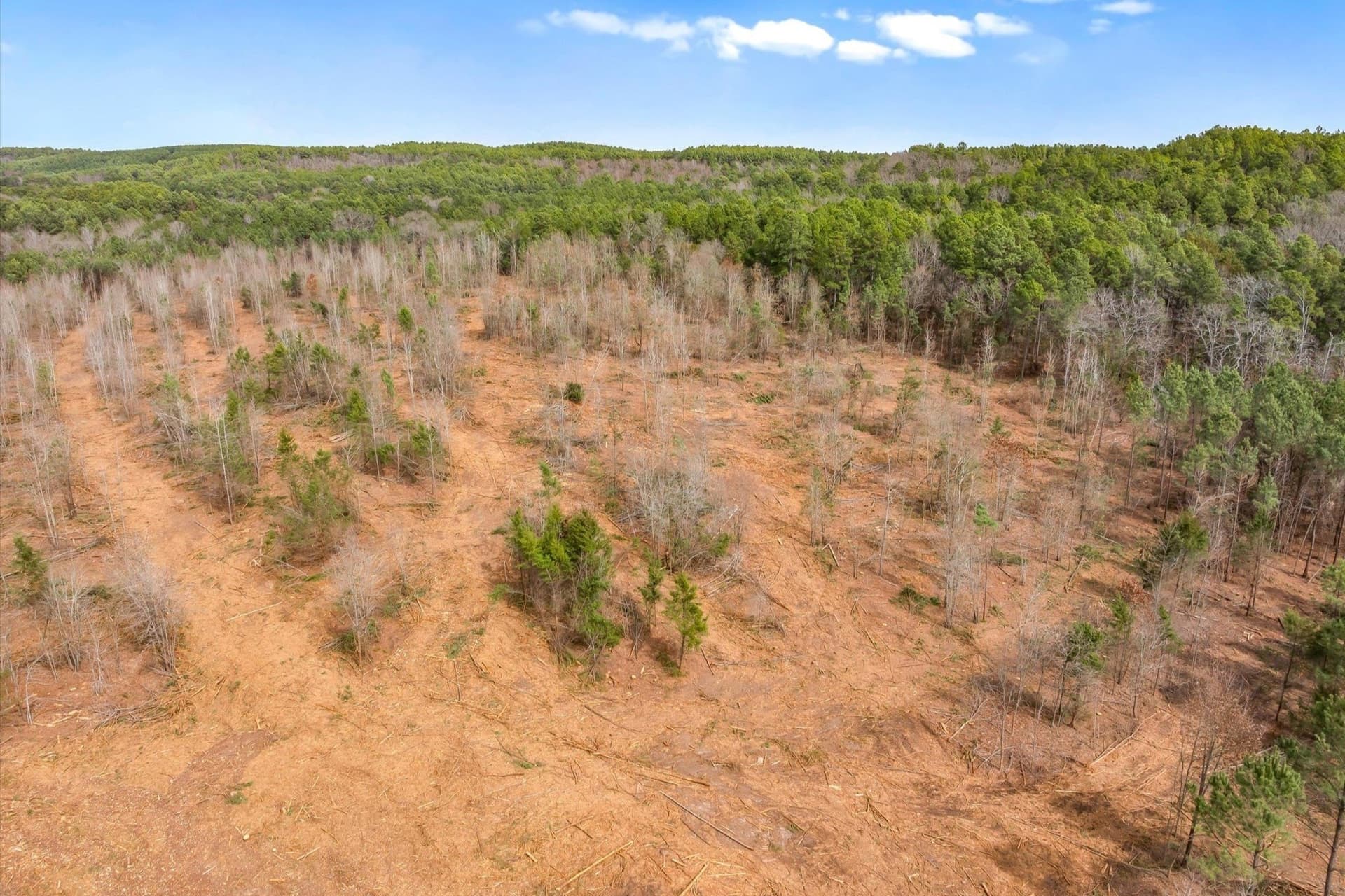 48 acres in Morris County - photo 31