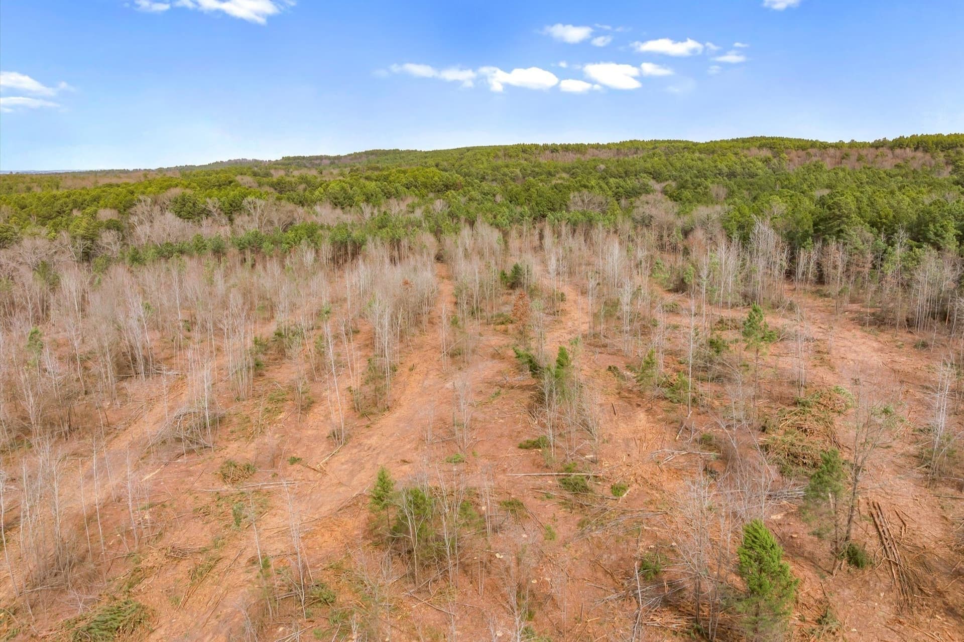 48 acres in Morris County - photo 24