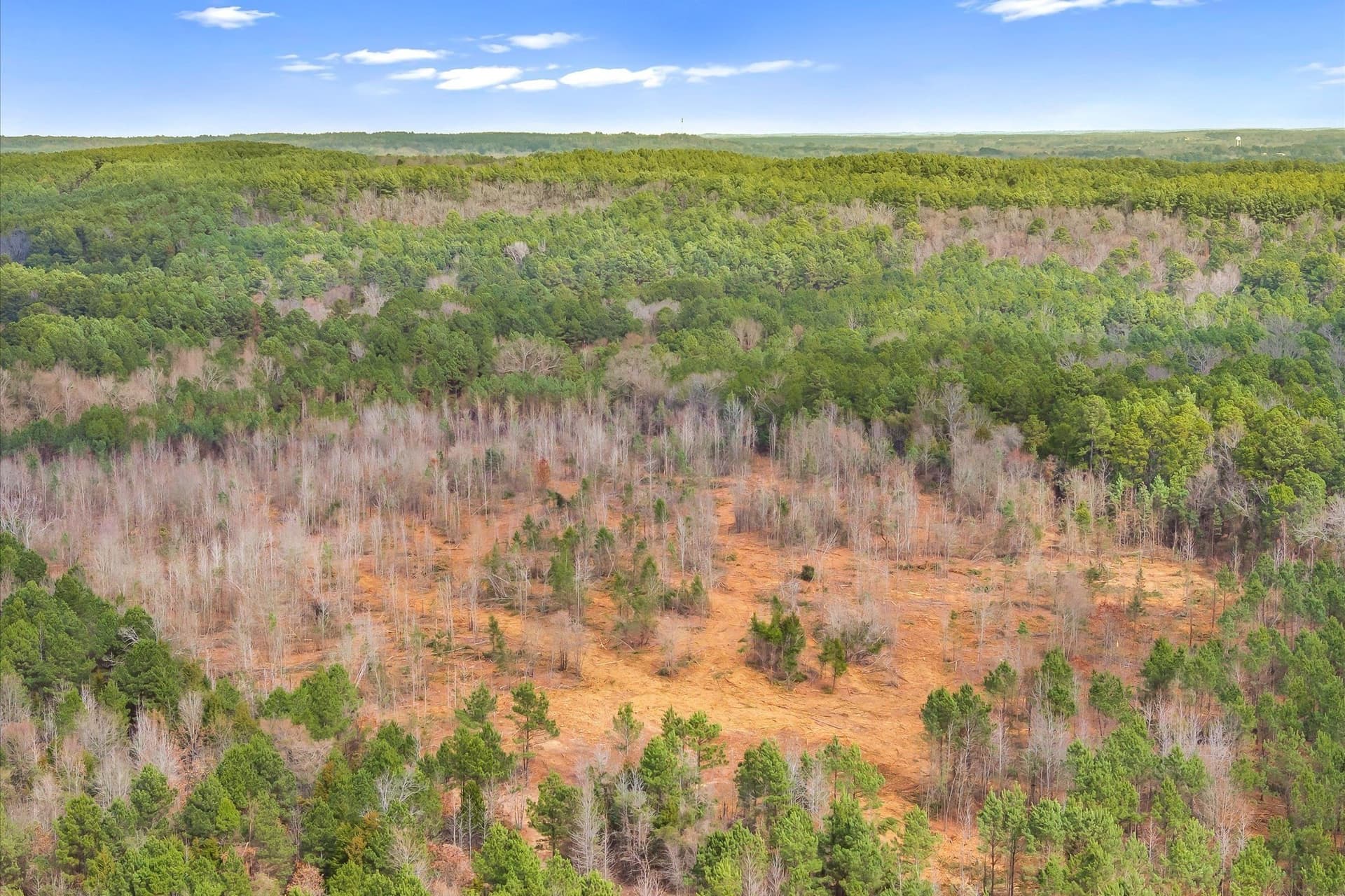 48 acres in Morris County - photo 17