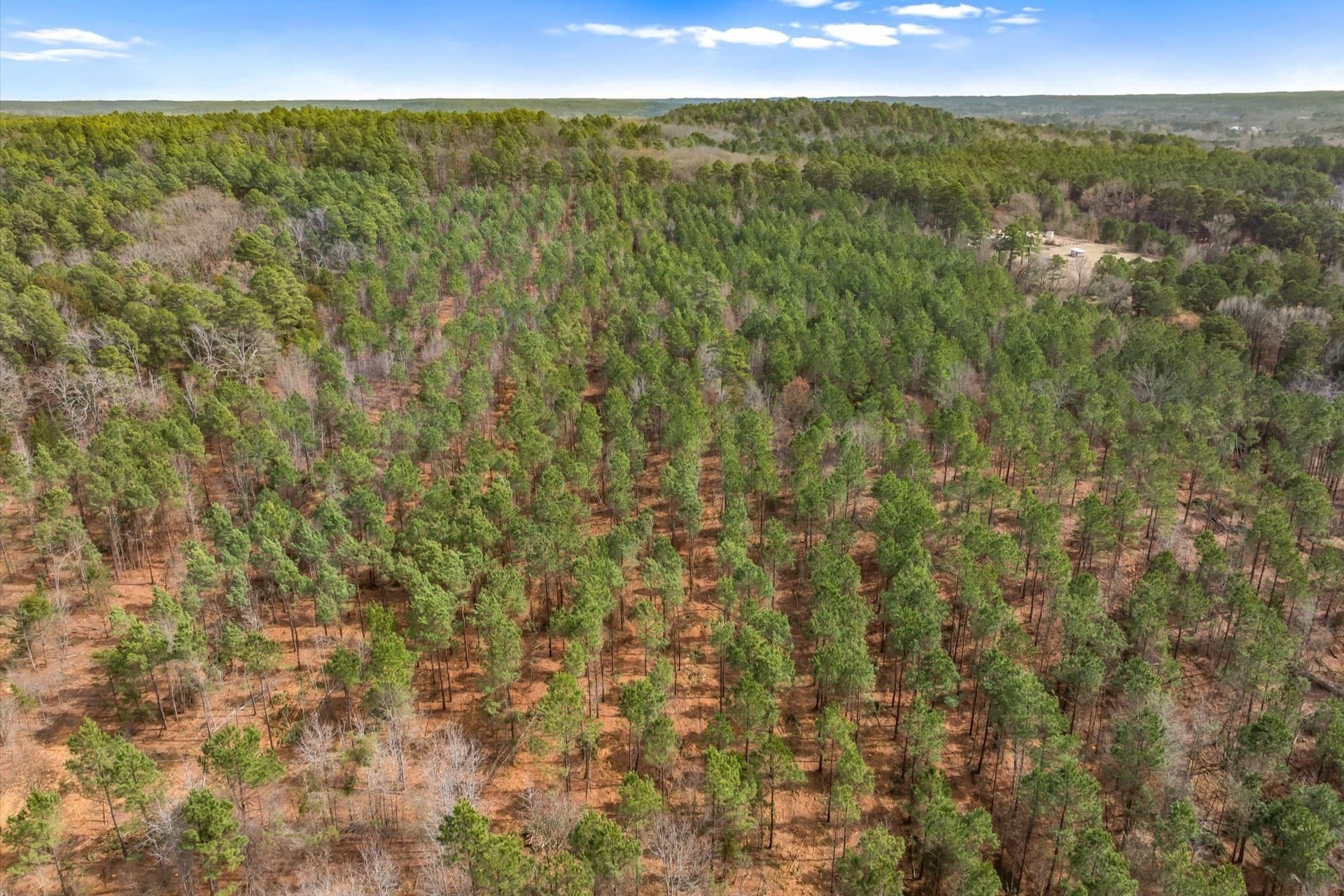 48 acres in Morris County - photo 12