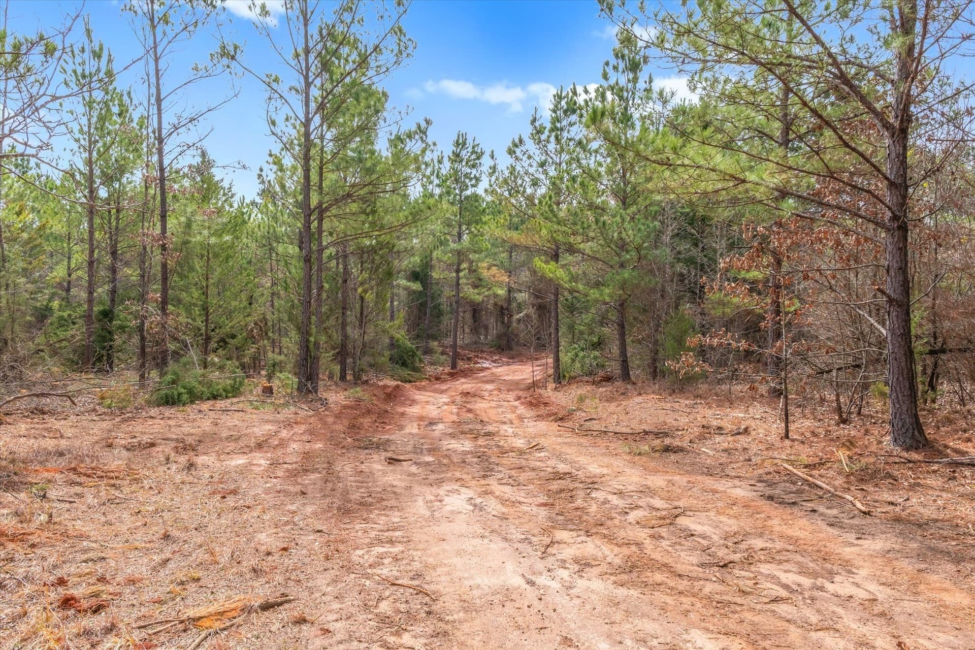 48 acres in Morris County - photo 23