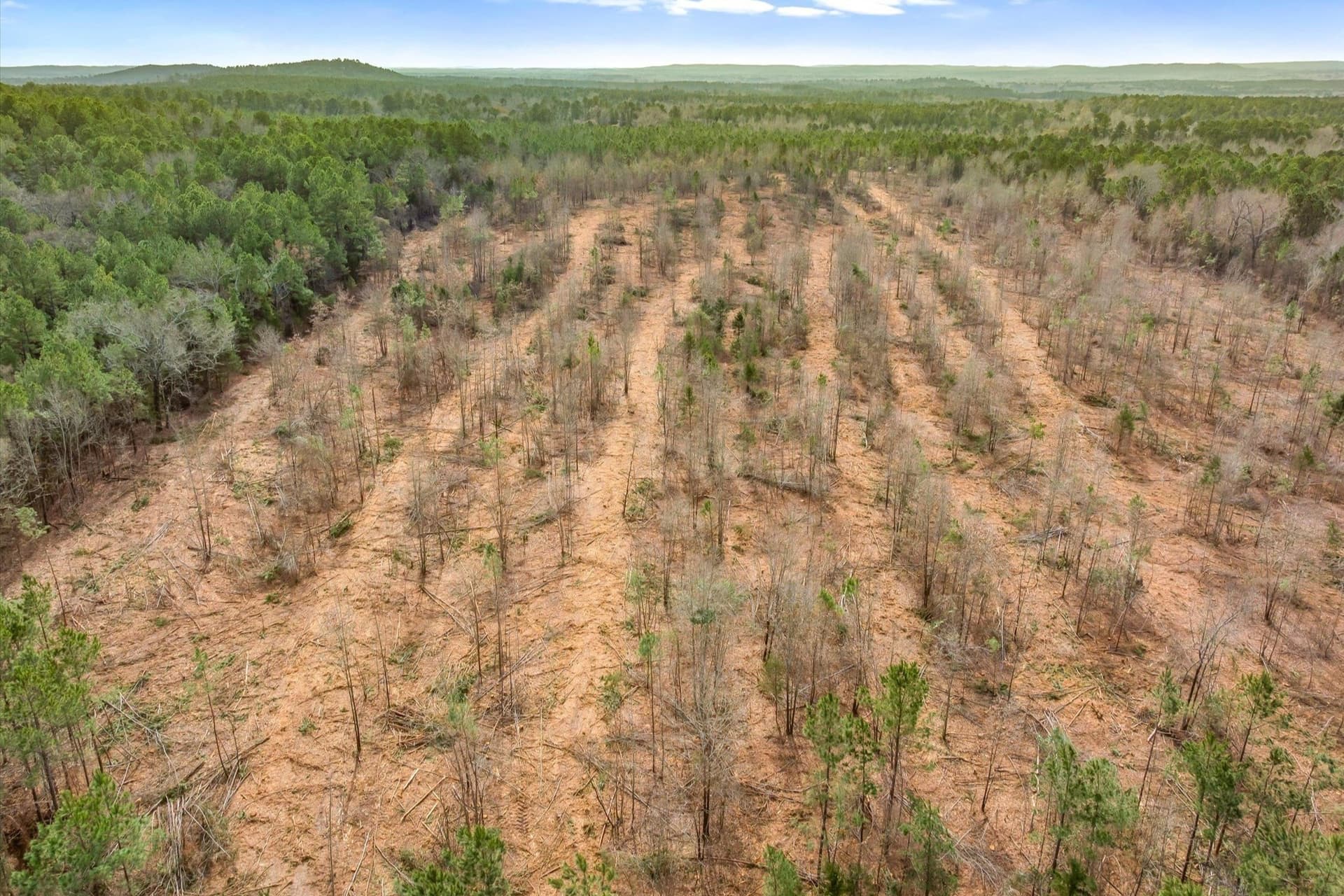 48 acres in Morris County - photo 26