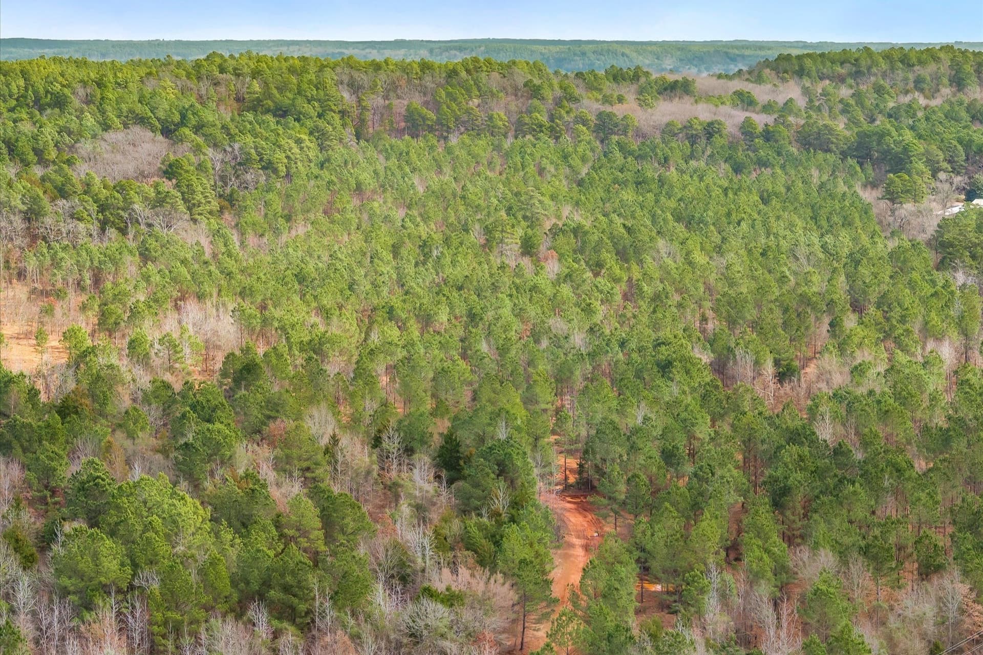 48 acres in Morris County - photo 10