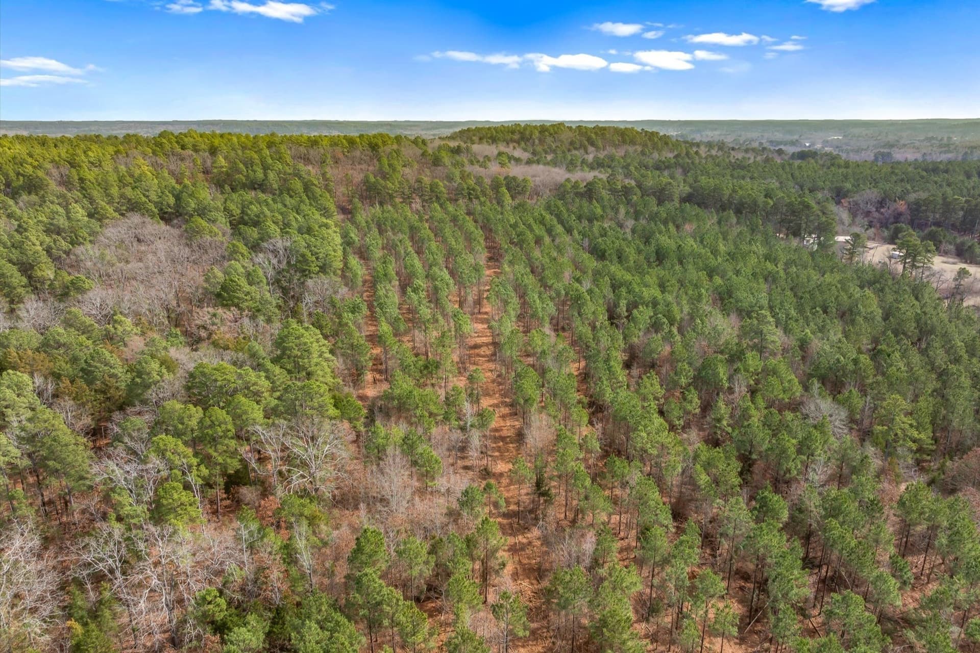 48 acres in Morris County - photo 14
