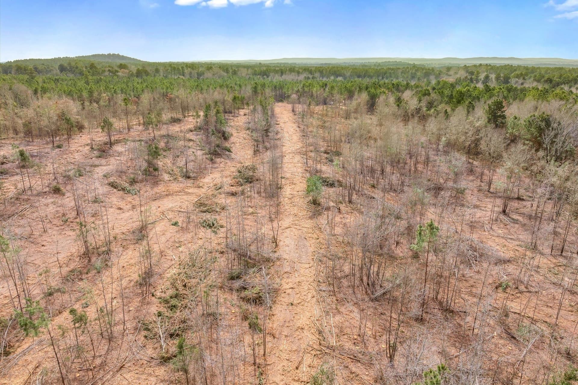 48 acres in Morris County - photo 30