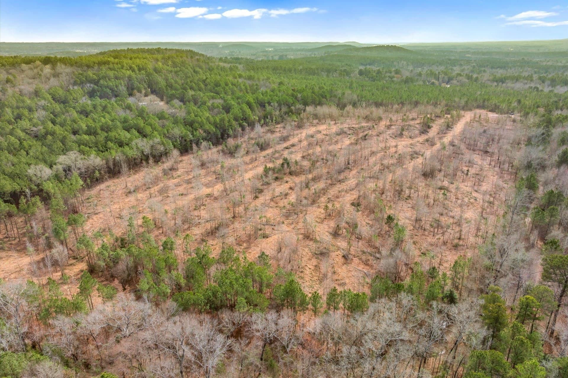 48 acres in Morris County - photo 27