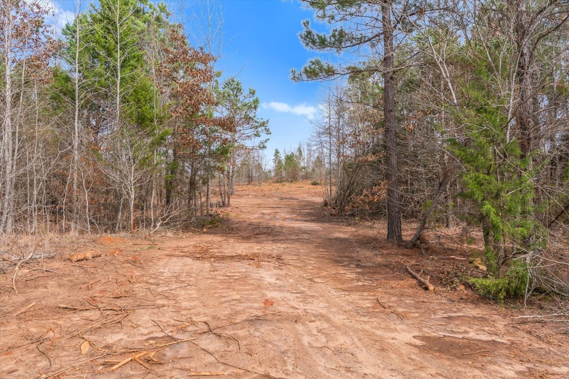 48 acres in Morris County - photo 32