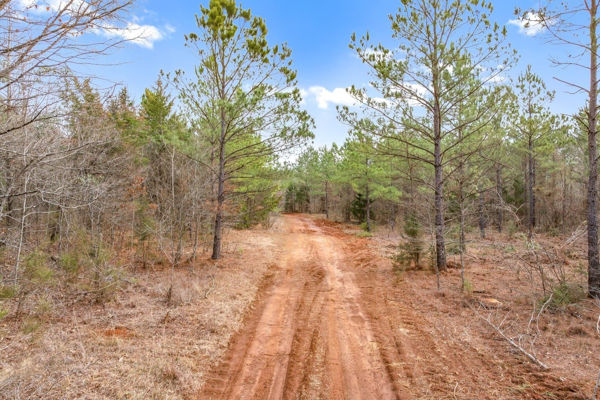 48 acres in Morris County featured view