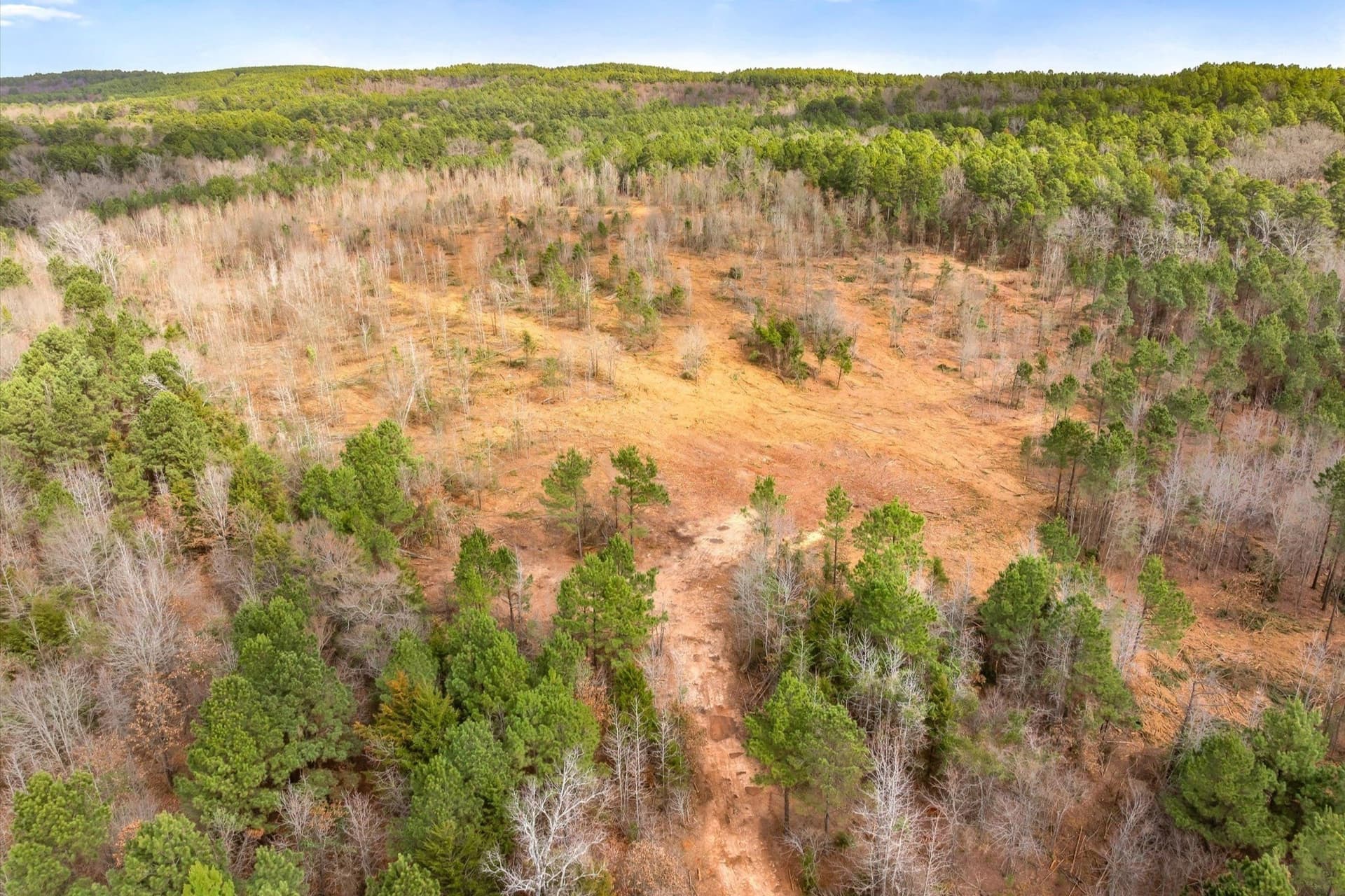 48 acres in Morris County - photo 9