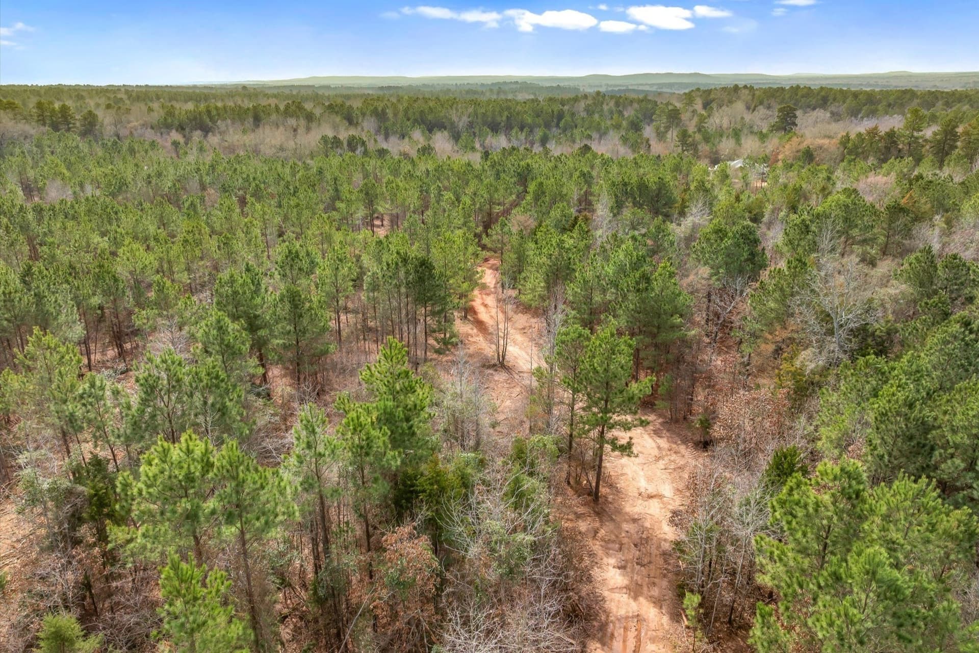 48 acres in Morris County - photo 11