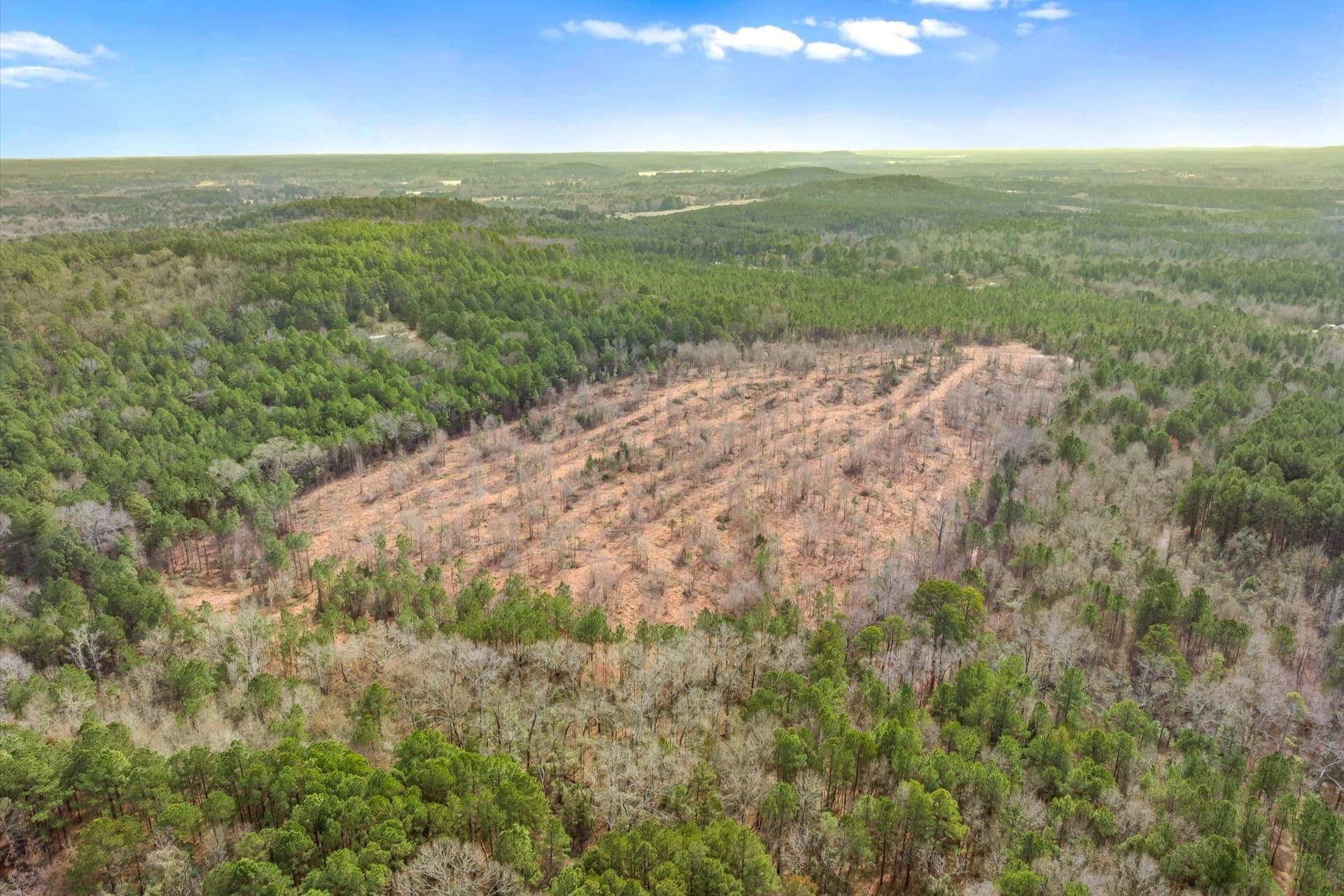 48 acres in Morris County - photo 29