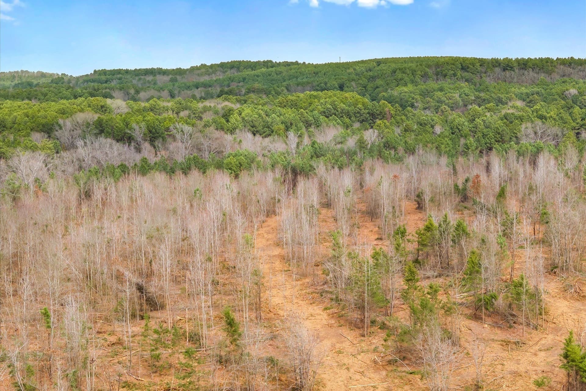 48 acres in Morris County - photo 20