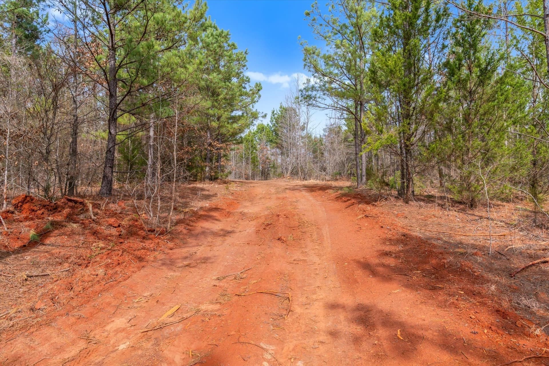 48 acres in Morris County - photo 13