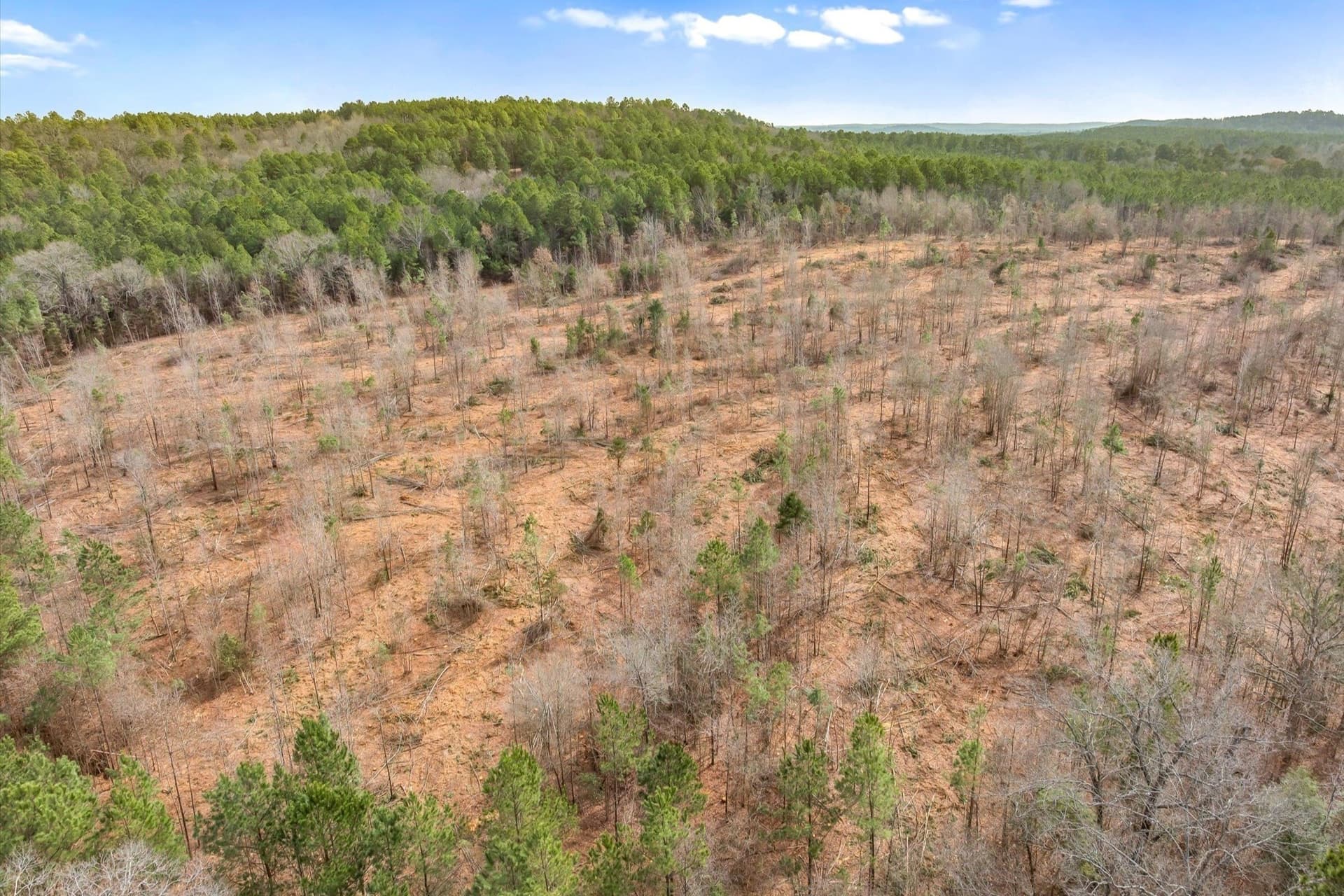 48 acres in Morris County - photo 28