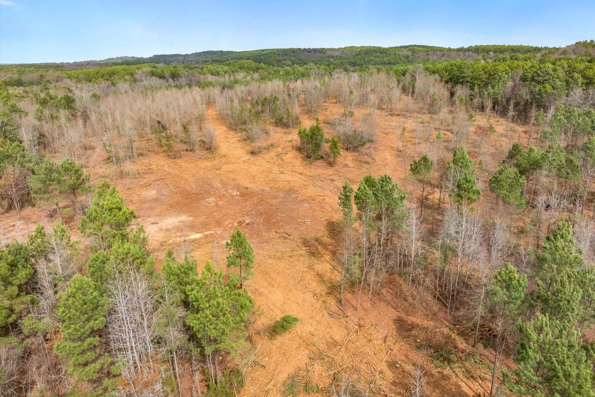 48 acres in Morris County - photo 22