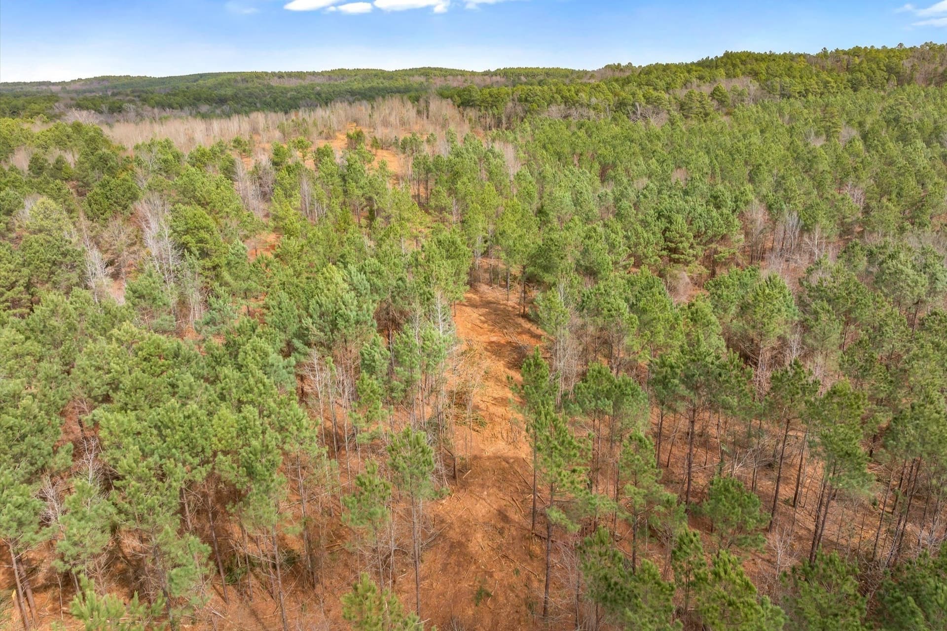 48 acres in Morris County - photo 19
