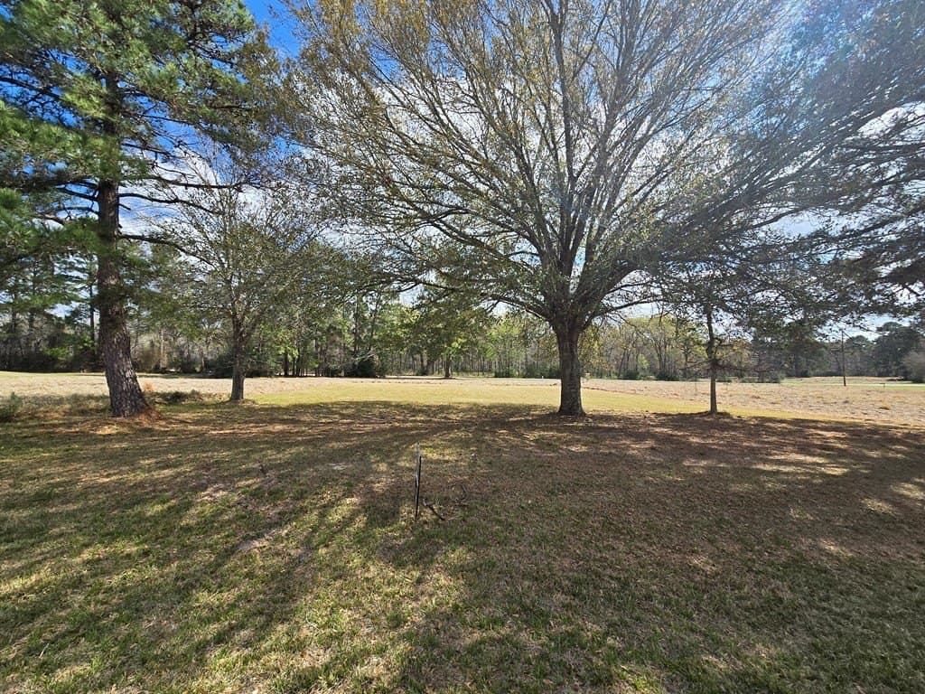 0.2 acres in Texas County gallery image 3
